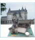 Maquette du Château de Sully sur Loire.